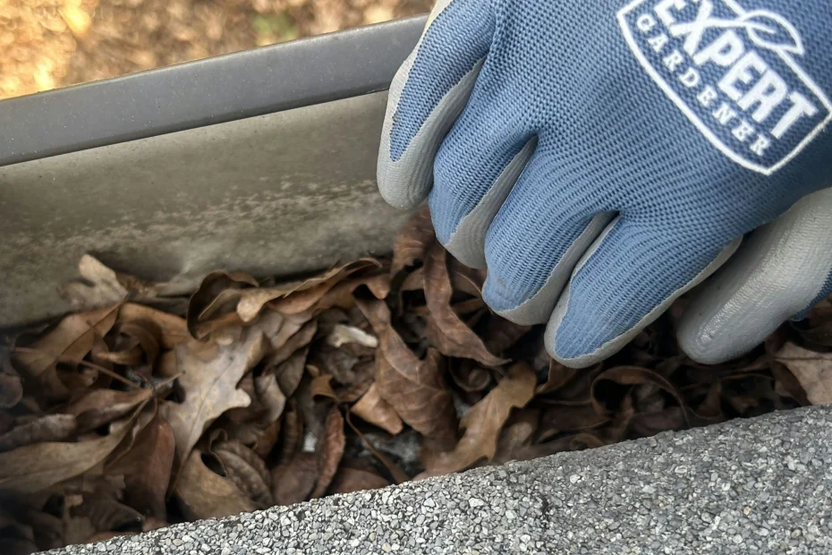 Gutter Cleaning Naperville