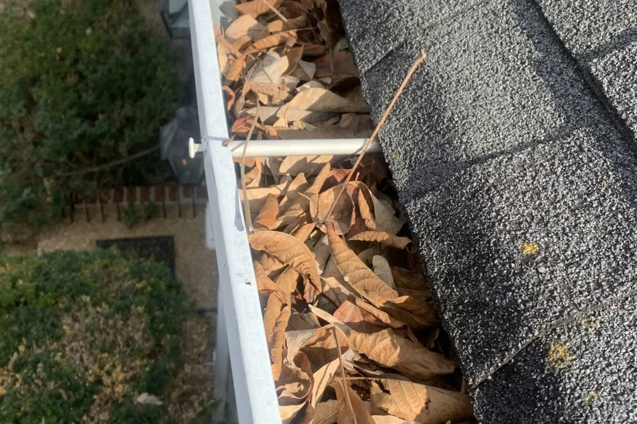 Gutter Cleaning Naperville