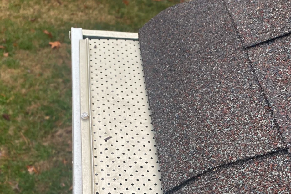 Gutter Cleaning Naperville