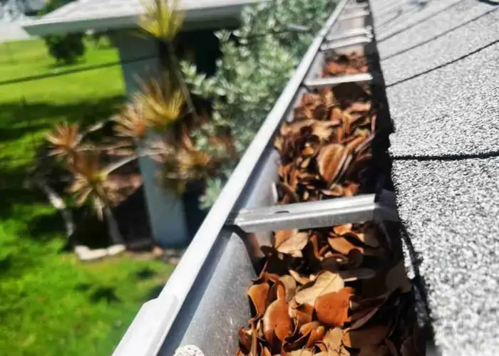 Gutter Cleaning Naperville home page